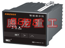 溫度表、數(shù)字顯示儀、濕度表