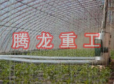 大棚花卉供暖設(shè)備、大棚卉采暖設(shè)備、大棚花卉取暖設(shè)備