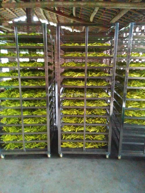 黃花菜烘干機、黃花菜烘干設(shè)備、黃花菜干燥機、黃花菜干燥設(shè)備、